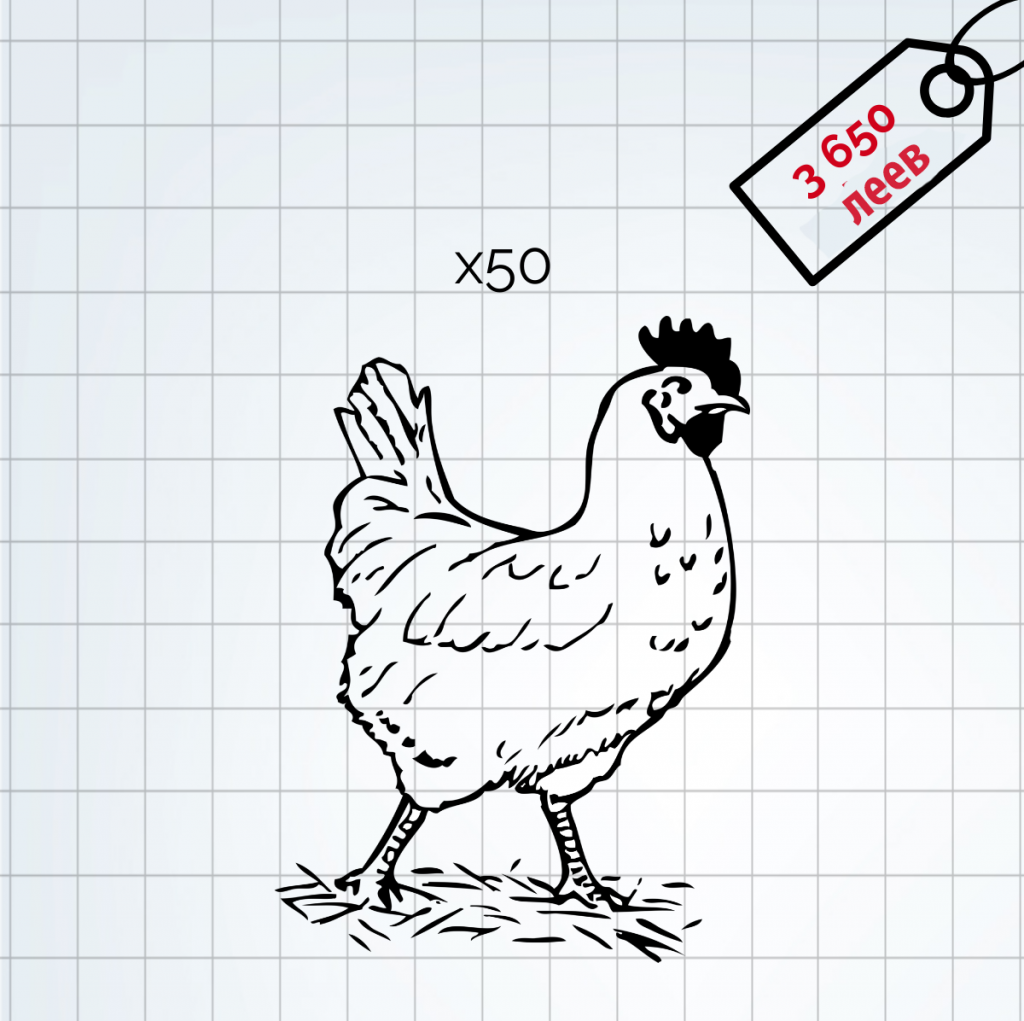 50 кур – 3 650 леев