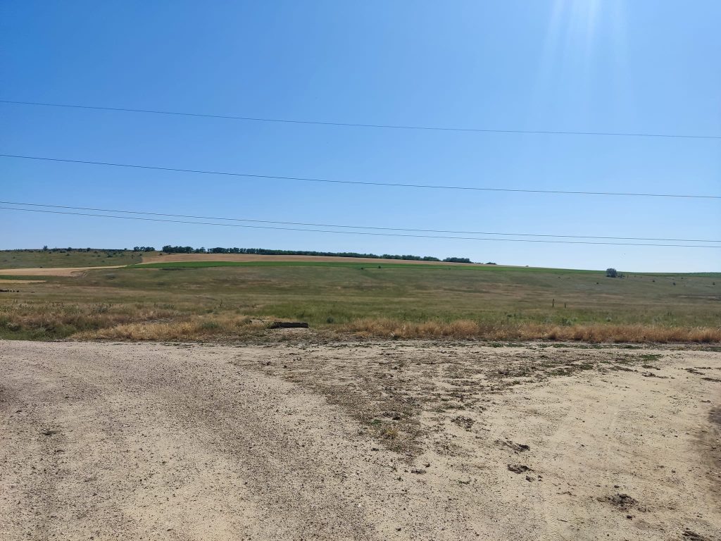 În s. Carabetovca vor fi demarate lucrări de plantare a fâșiilor forestiere