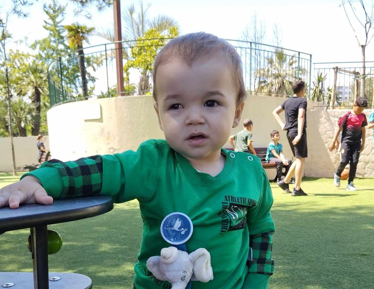 Давид Чубук