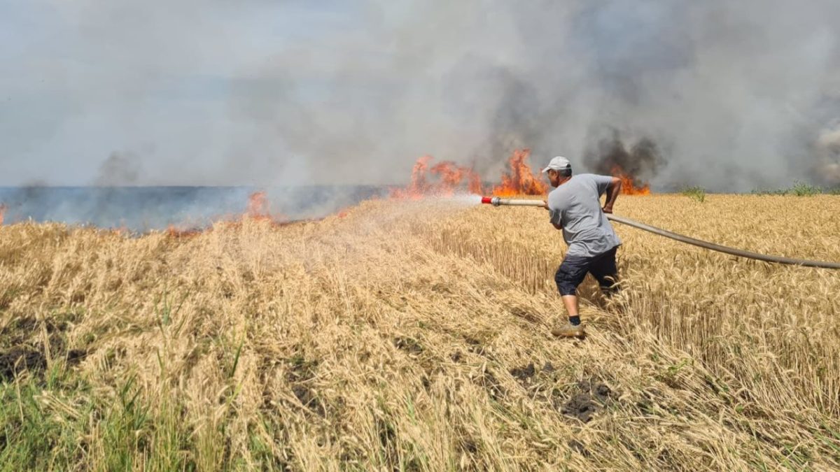 incendii la recoltarea cerealelor