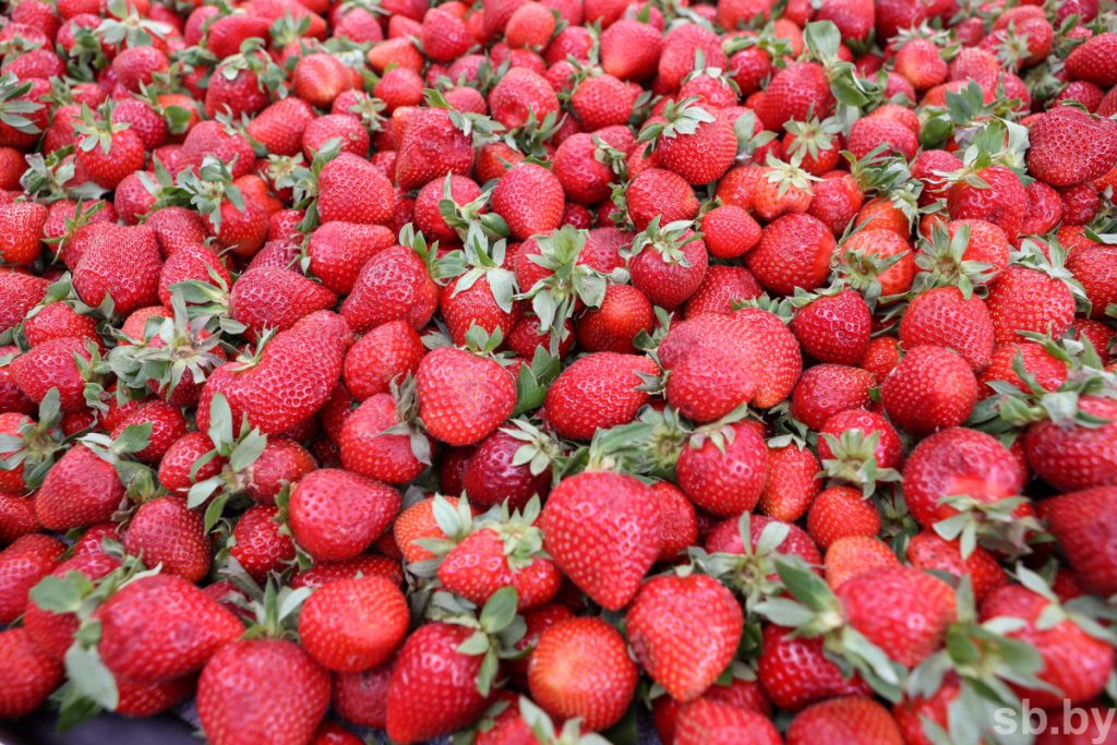 5 интересных фактов о пользе клубники