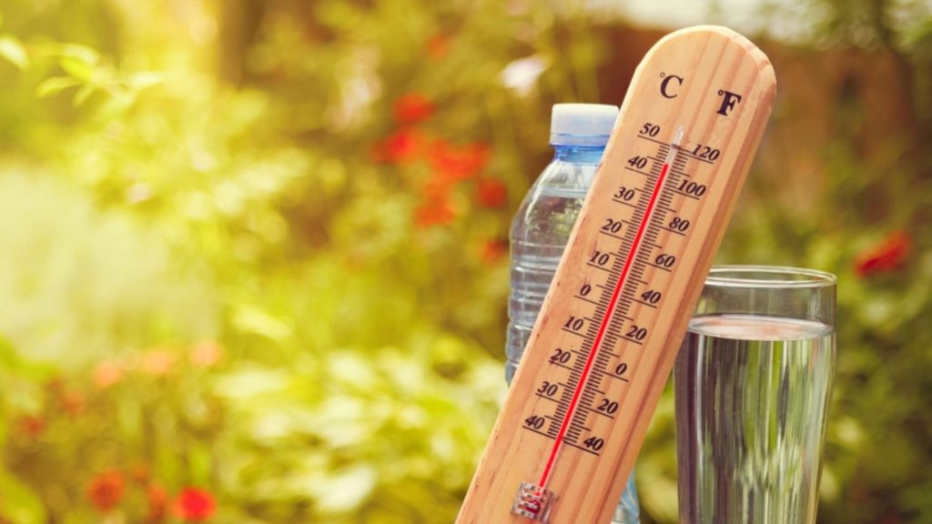 Погода в районе Басарабяска. Какой она будет на этой неделе