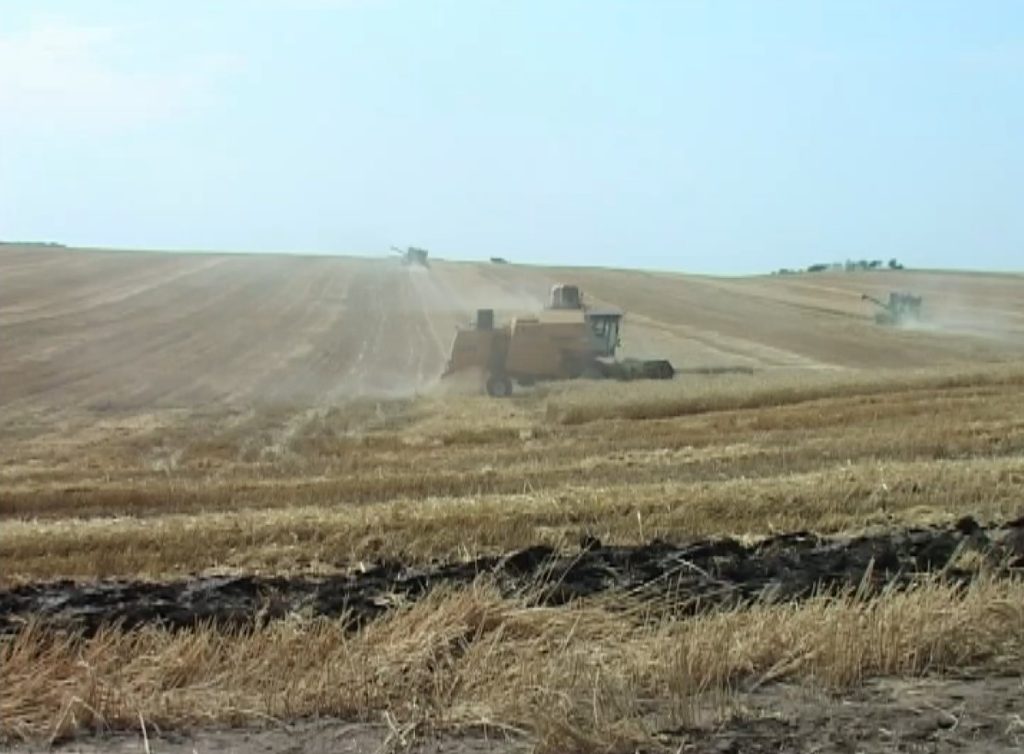 Давайте вспомним. Уборка зерновых (2009 г.)
