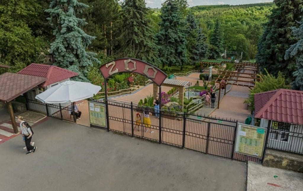 17 июля вход в зоопарк Кишинева будет бесплатным