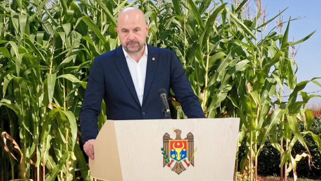 «Мы разработаем рекомендации, и они будут отражены в политике субсидирования». Боля о запрете выращивания с/х культур