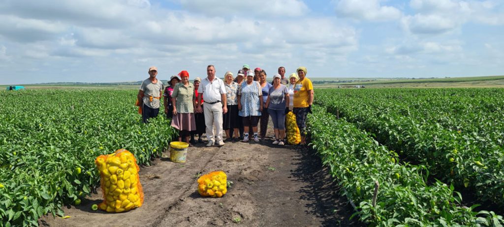 Exportul legumelor din Republica Moldova în Ucraina a crescut