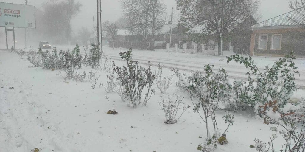 «Какие проблемы вам доставила стихия и как с её последствиями справлялись власти и спецслужбы?». Опрос недели