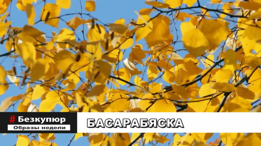 БЕЗ КУПЮР: осенняя Басарабяска 2023
