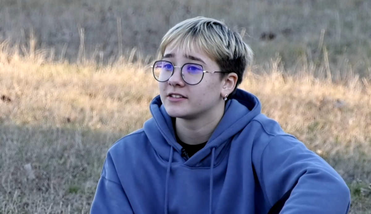 Эвелина Мешкова