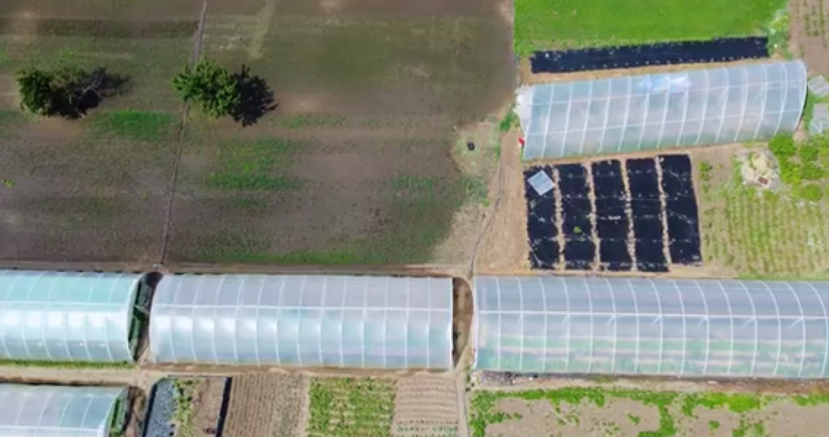 Toleranța zero față de corupție #Agricultura