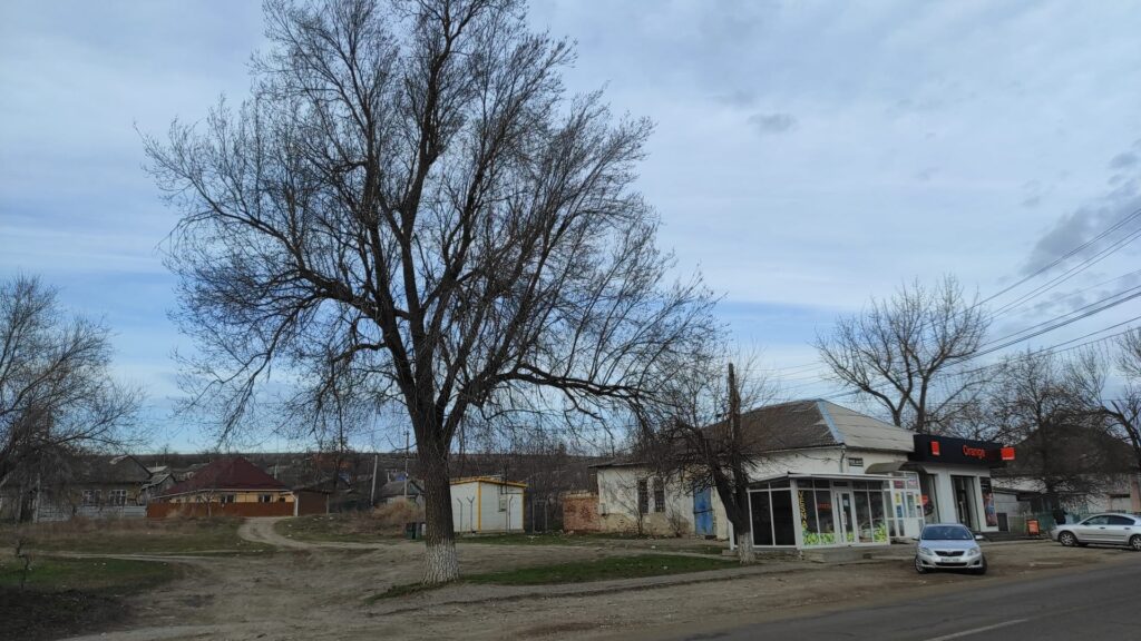 Басарабяска