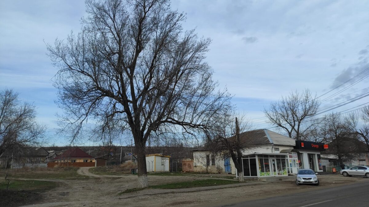 Басарабяска