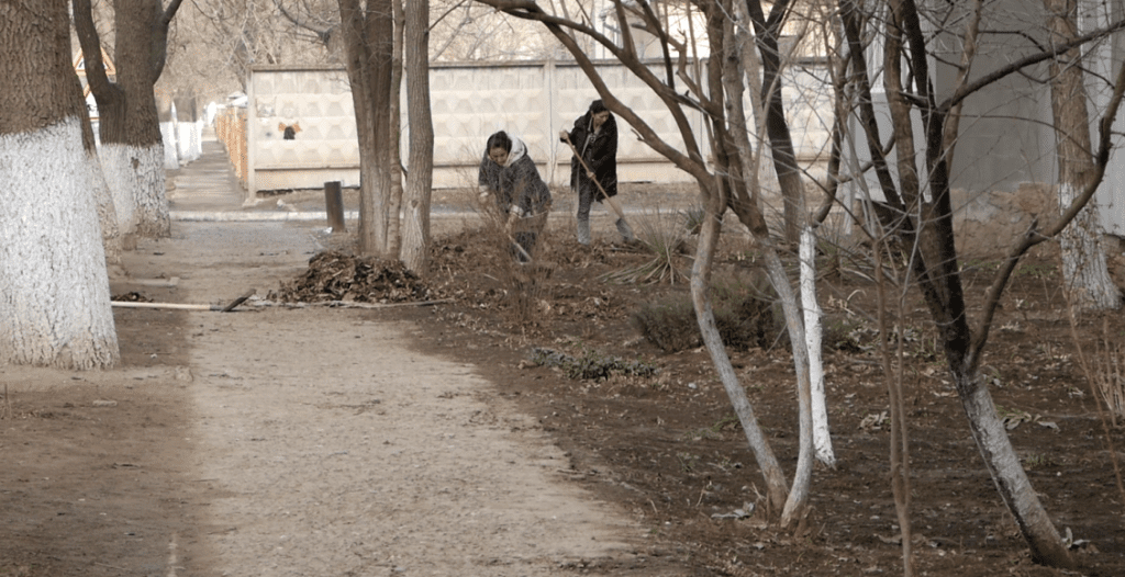 «Что нужно Басарабяске, чтобы выглядеть благоустроенным городом?». Опрос недели