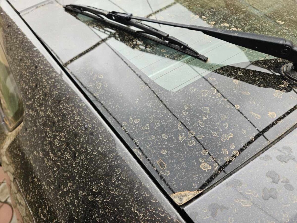 (ФОТО) Песок из Сахары оставил след на автомобилях жителей Басарабяски