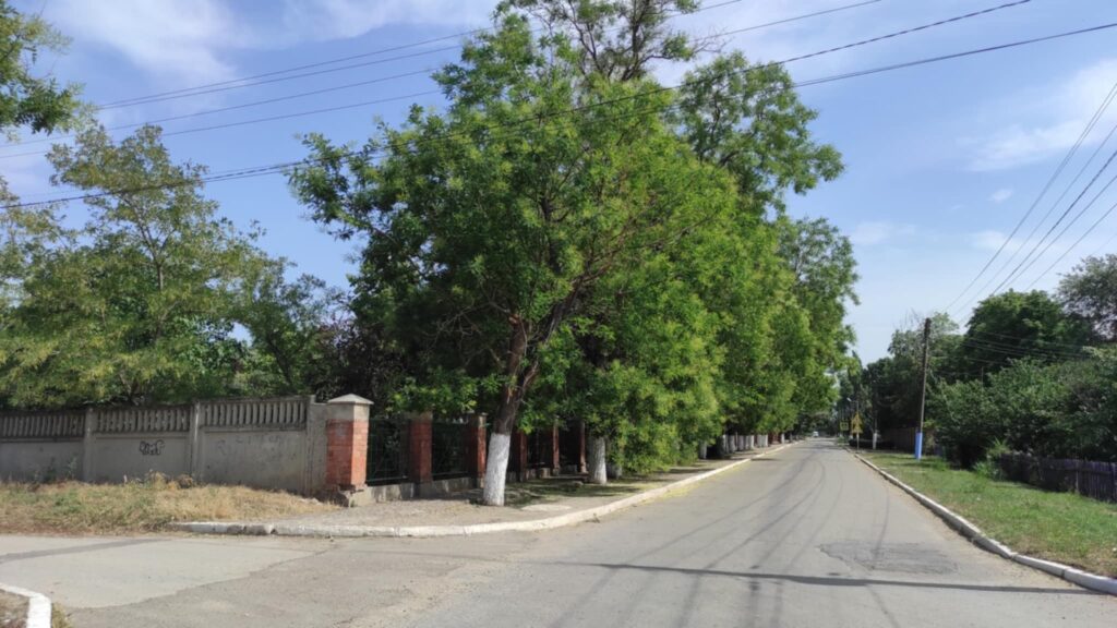 Что будет с 20 деревьями возле лицея «Н.Гоголь»? Решение горсовета Басарабяска