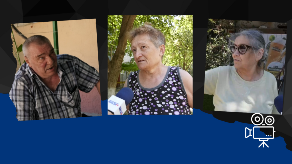 спил деревьев