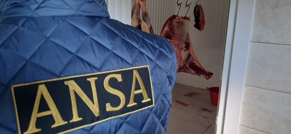 ANSA