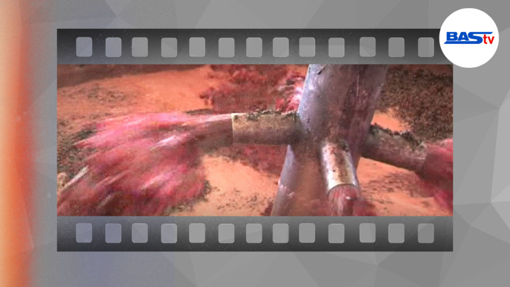 Давайте вспомним. В районе Басарабяска производят кошерное вино (2011 г.)