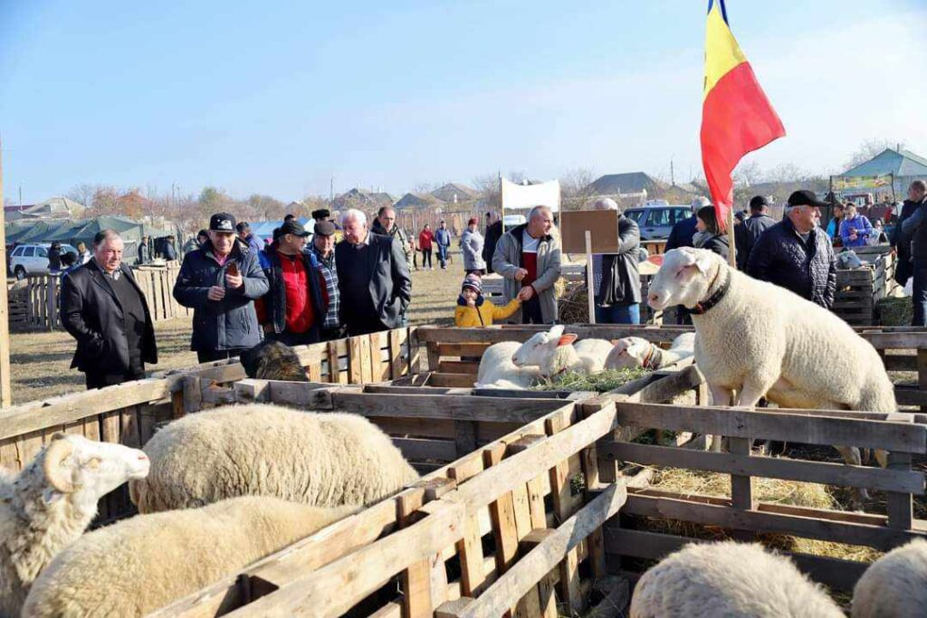 Cimișlia găzduiește Festivalul „Mioriță Laie, Laie Bucălaie” în acest weekend