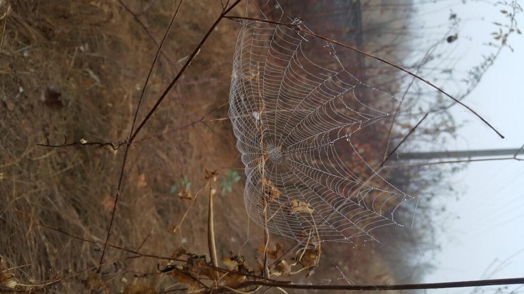 фотоподборка от активных читателей BAStv