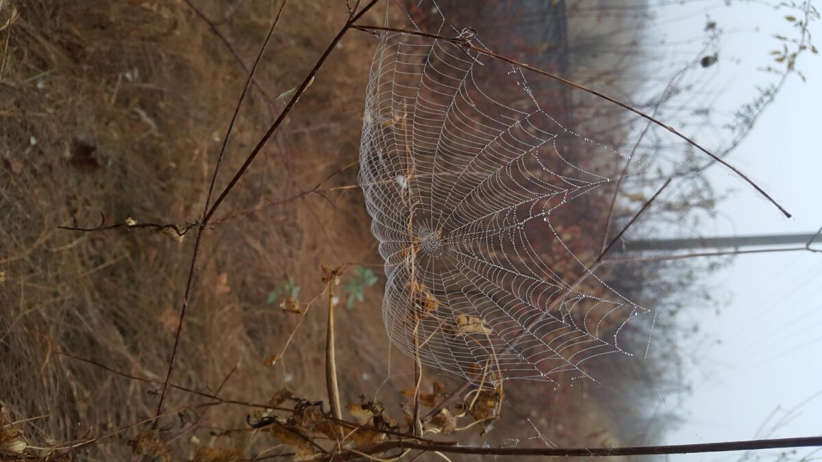 фотоподборка от активных читателей BAStv