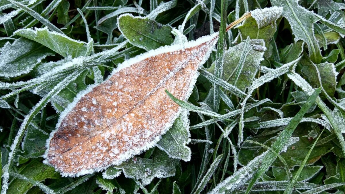 погода в Молдове
