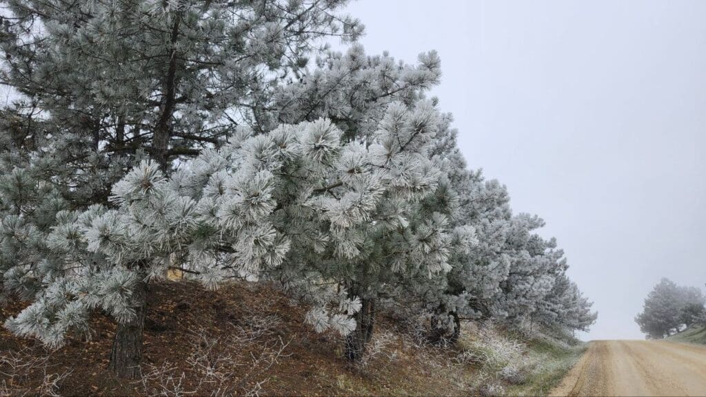 (ФОТО) Путь в Исерлию сквозь объектив: когда осенний мороз рисует пейзажи