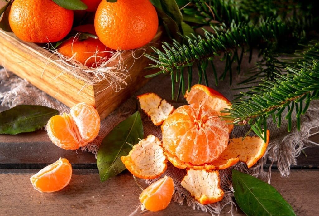 Цитрусовые в сезон: как правильно выбрать и употреблять их без вреда для здоровья