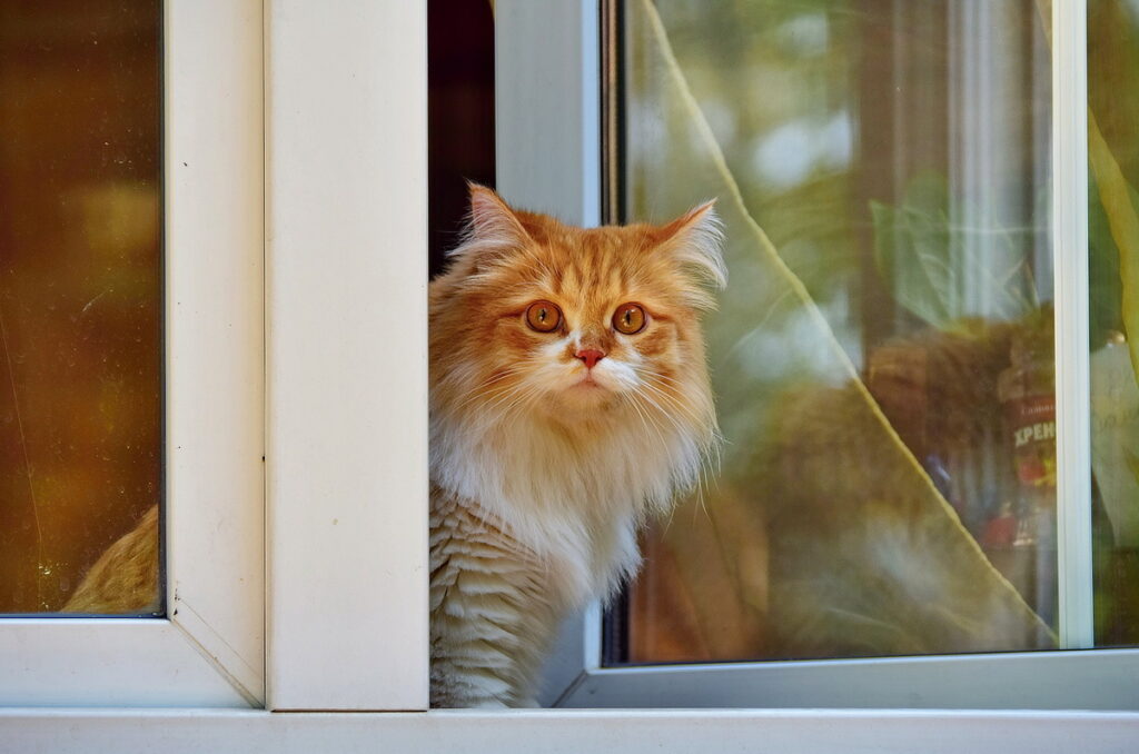 Какой будет погода на этой неделе