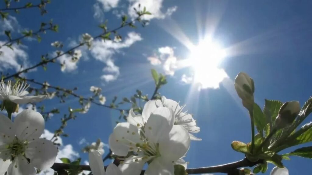 Солнечные дни уступят место дождям. Прогноз погоды на неделю