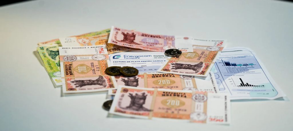 молдавские леи