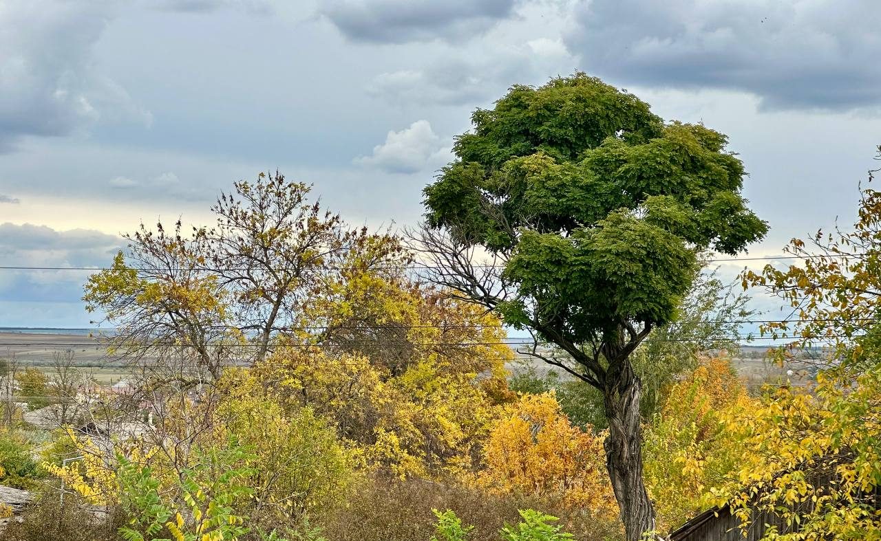 пейзаж Басарабяски