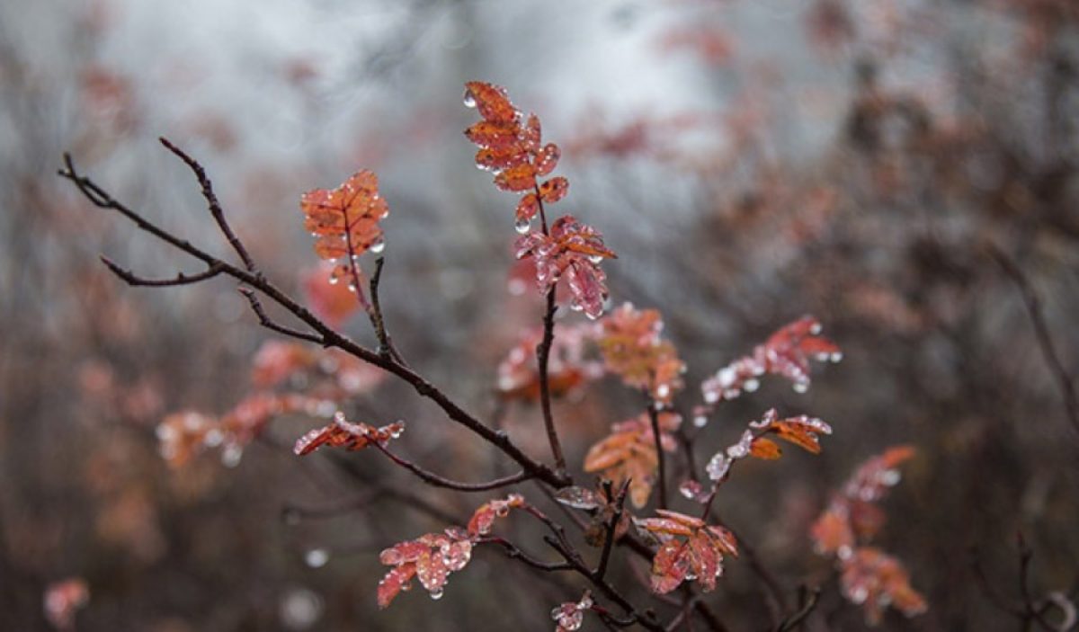 дождь со снегом