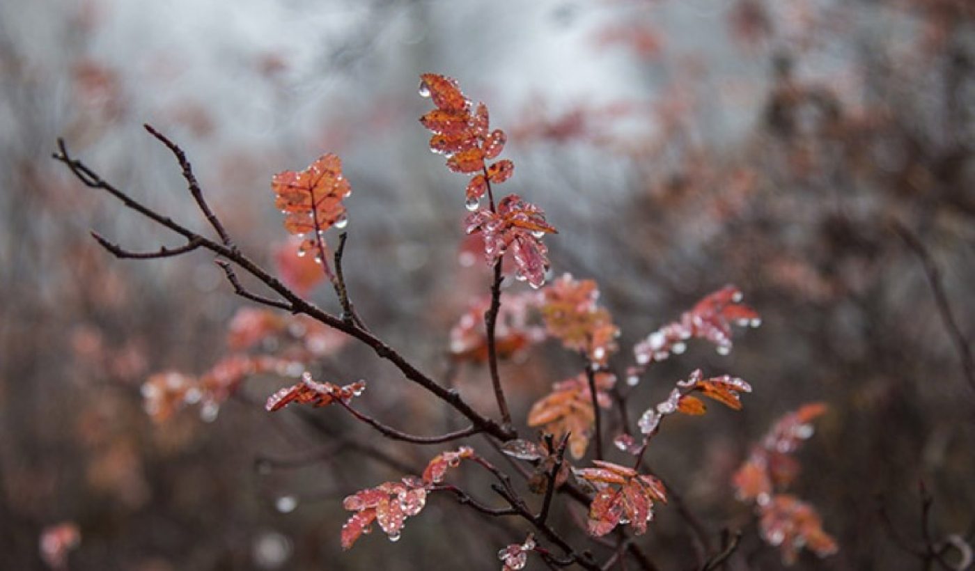 дождь со снегом