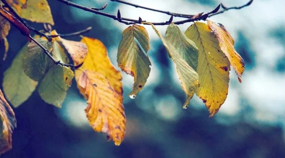 пасмурная погода