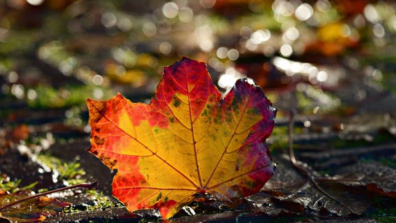 прогноз погоды