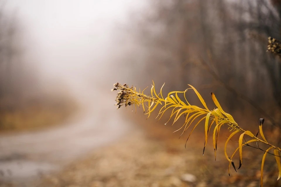ноябрьская погода