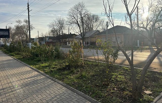 погода Басарабяска