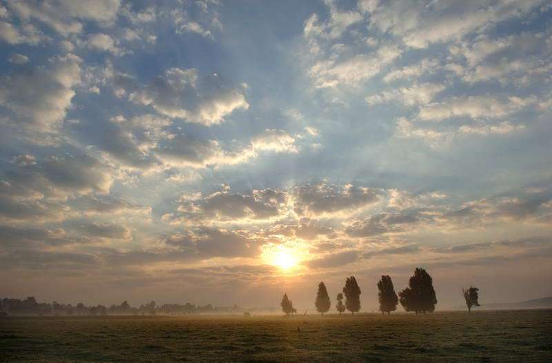 прохладно и туманно