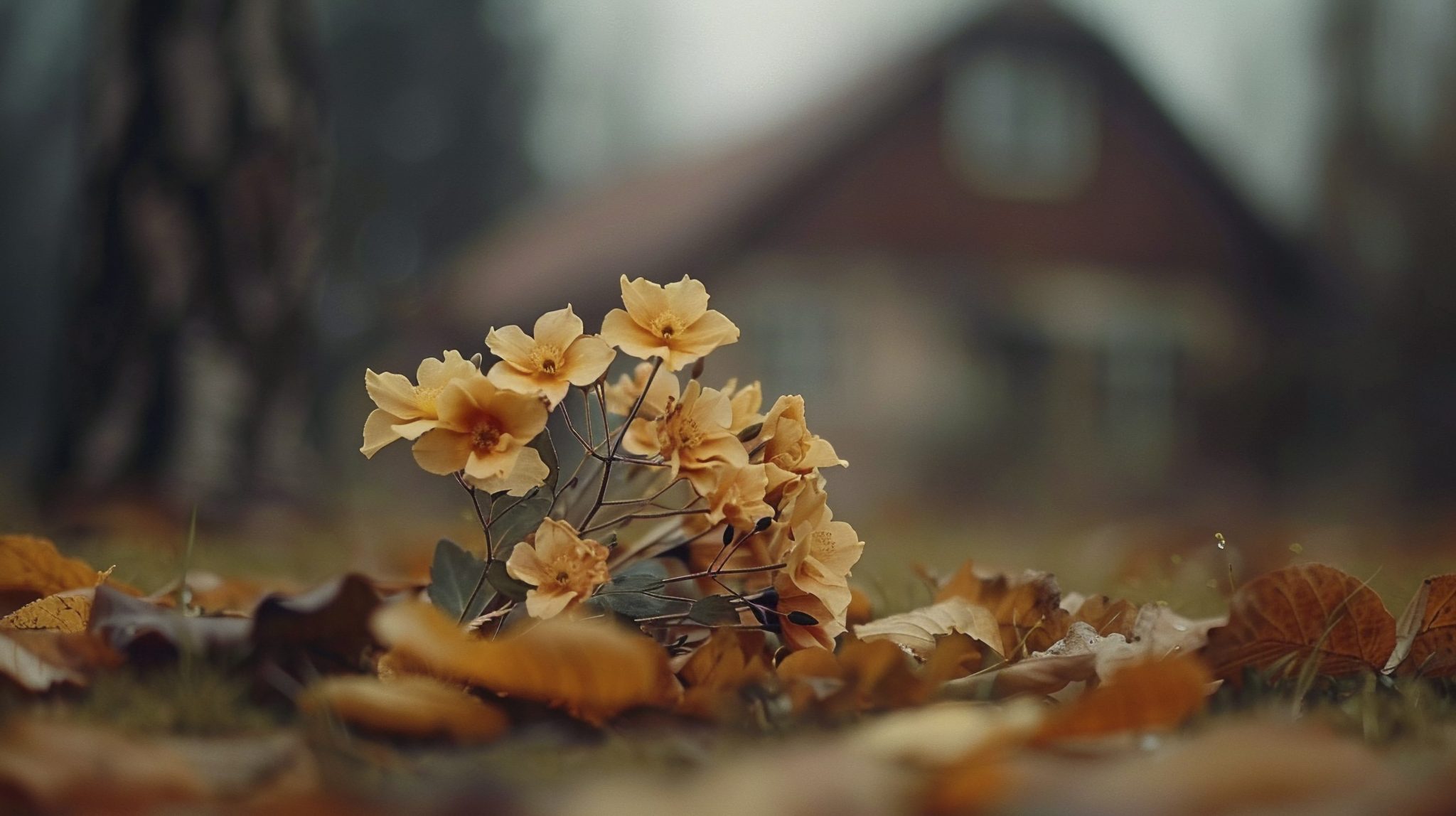 теплая погода зимой