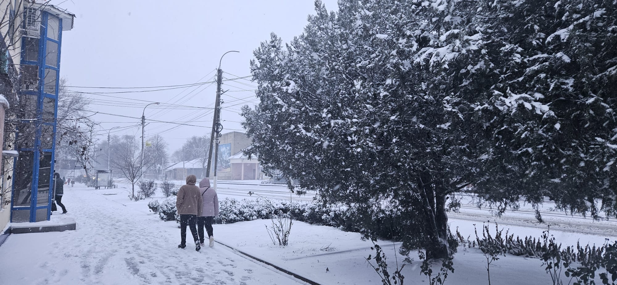 погода зимой