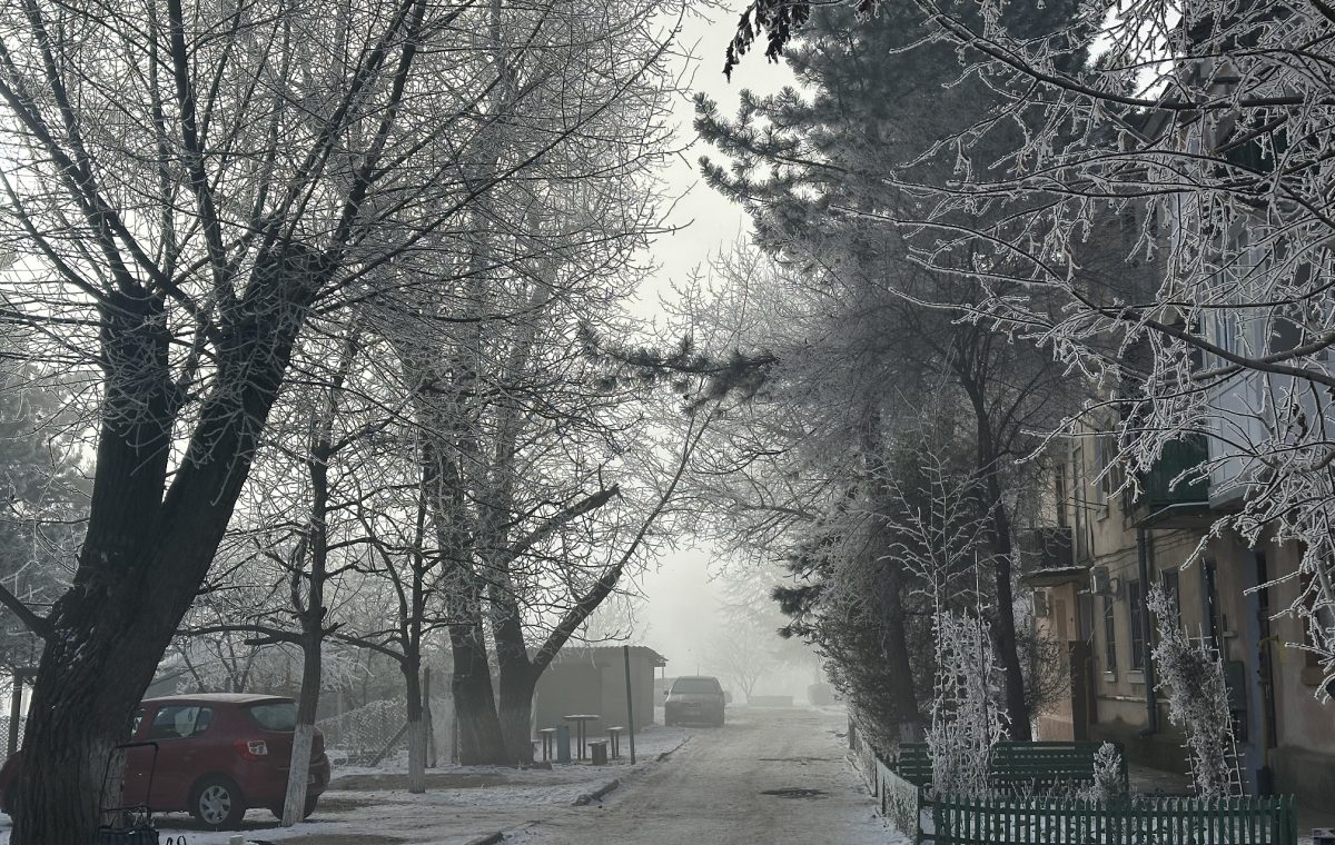 зимний двор