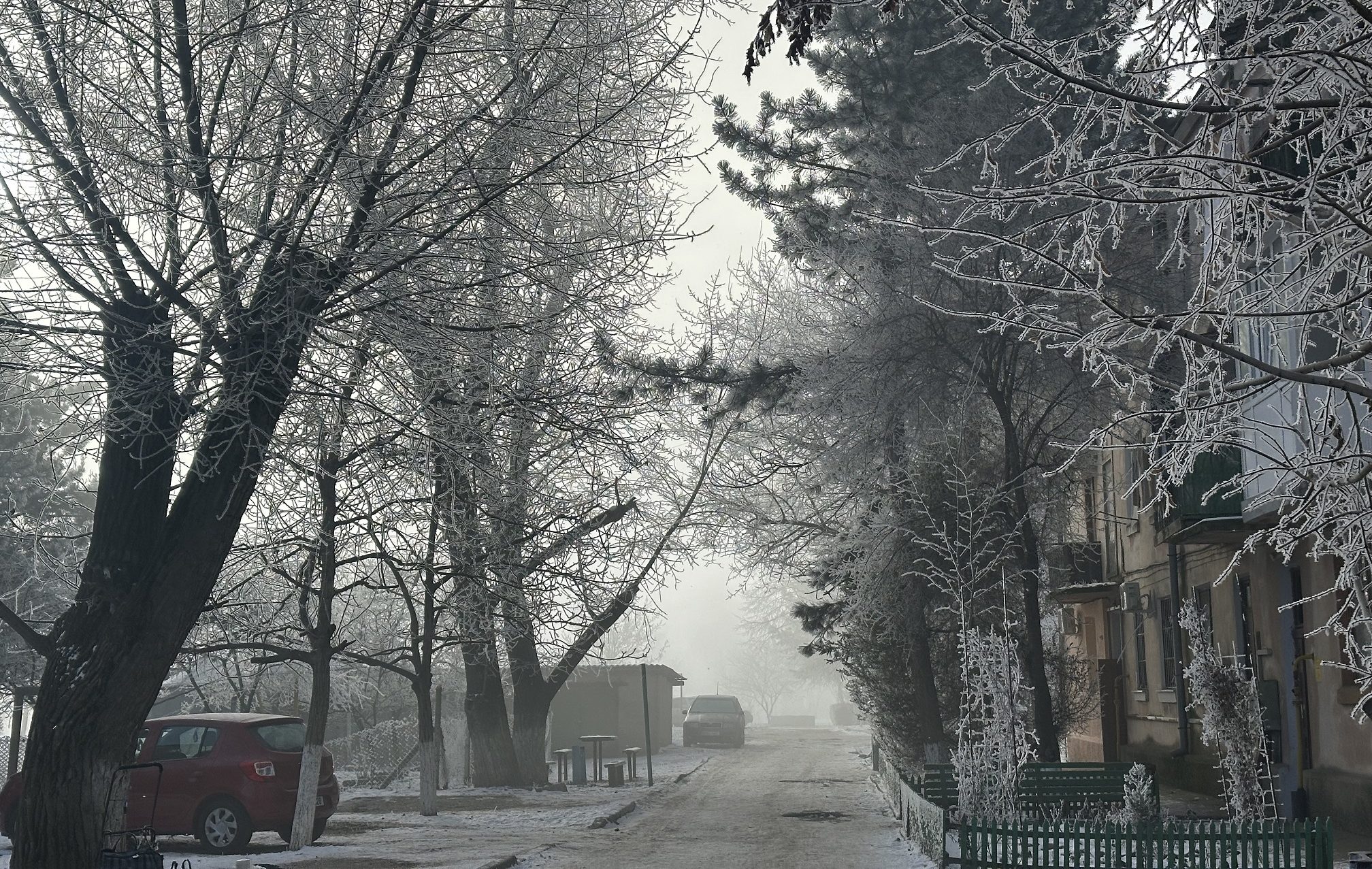 зимний двор