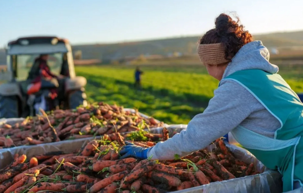 женщины-фермеры