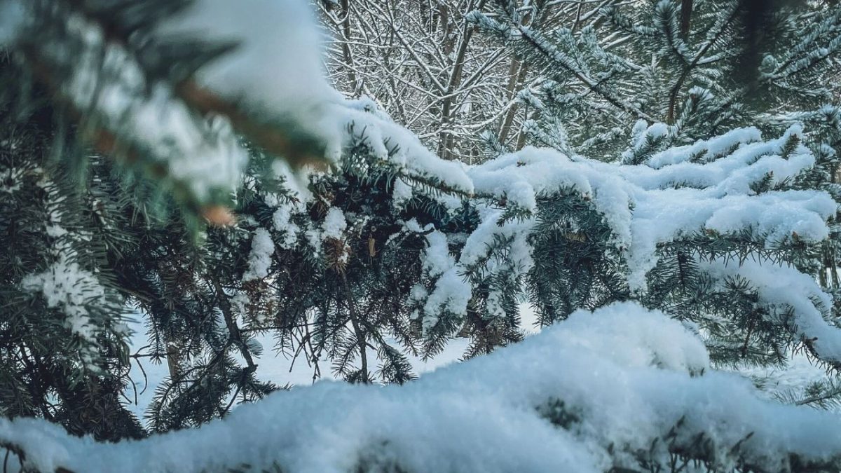 зимняя погода