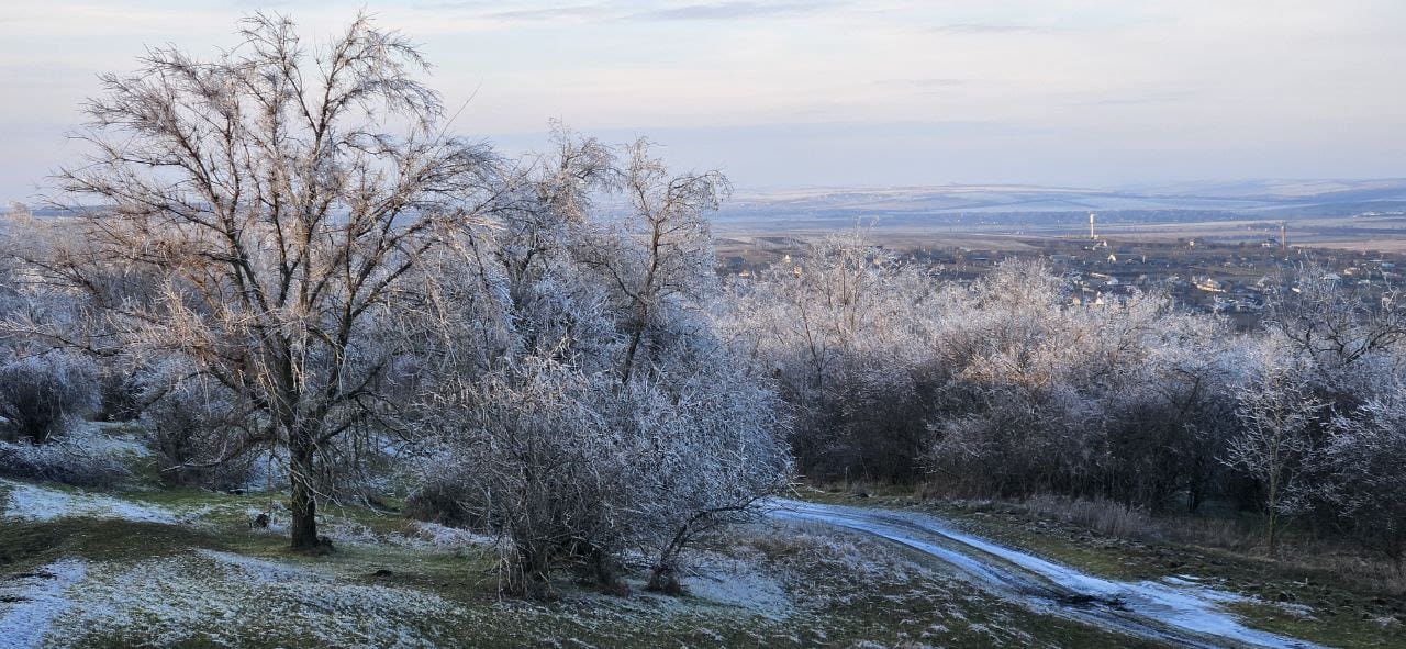 прогноз погоды