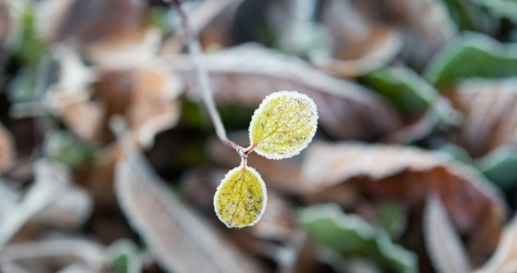 облачно и сыро