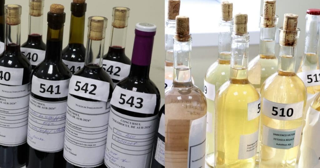 домашнее вино