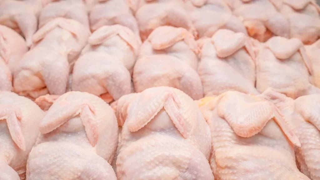 куринные тушки