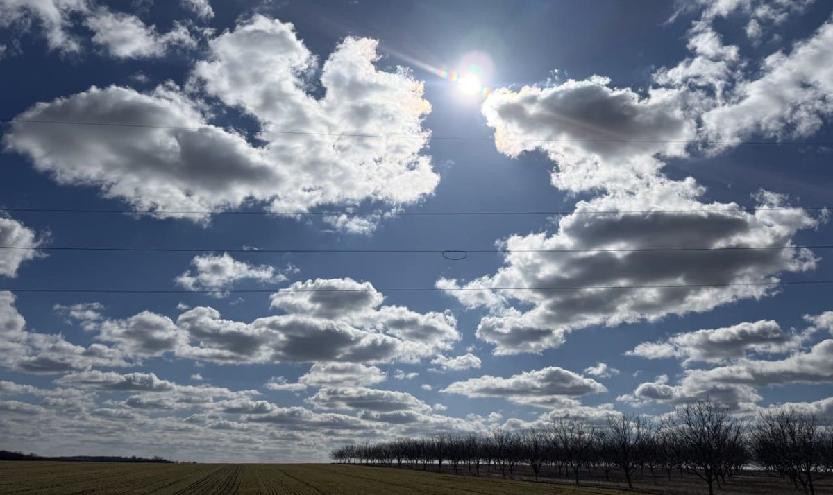 погода 12 марта